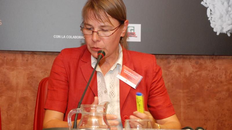 2. Imagen de la mesa de debate Crisis Alimentaria en África en Casa África, 2008