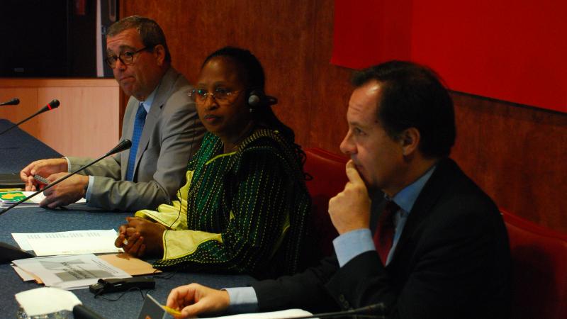 7. Intervención de Saoudatou Diallo Sow, Directora General de Deuda y Ayuda Pública para el Desarrollo de Guinea