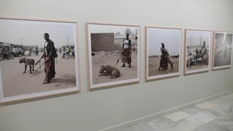 3. Exposición Éste debe ser el lugar de Pieter Hugo en Casa África y Centro Atlántico de Arte Moderno (CAAM)