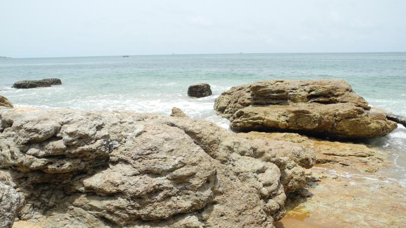 7. Imagen de Taki