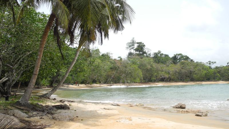 10. Imagen de Taki