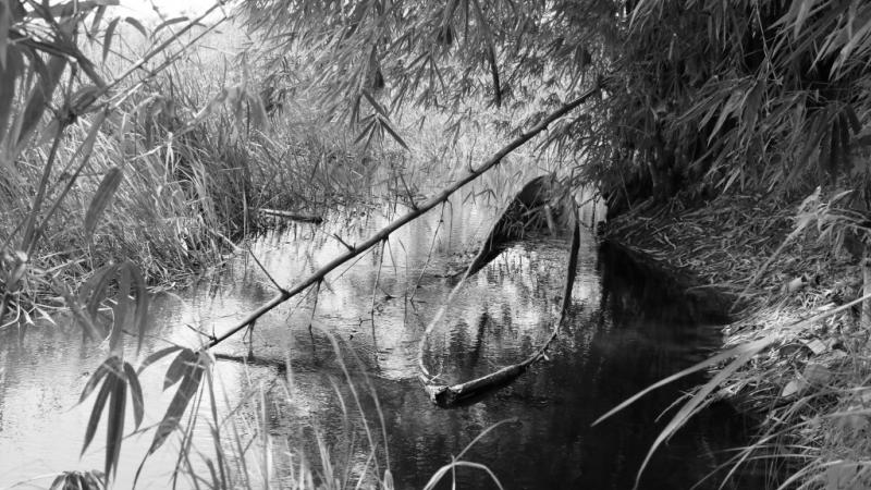 Vie après la pêche