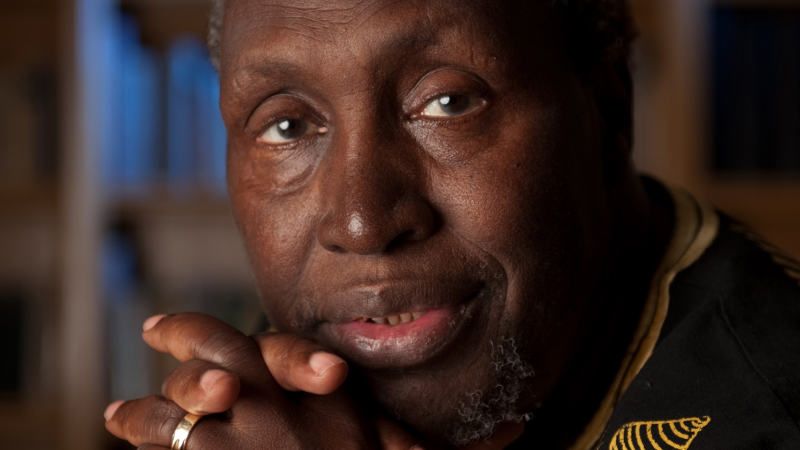 Ngugi wa Thiong'o