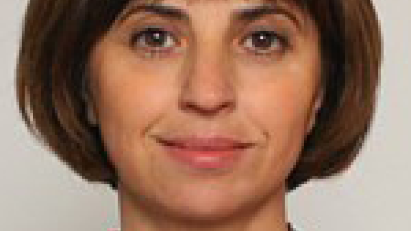 Hulya Ulku