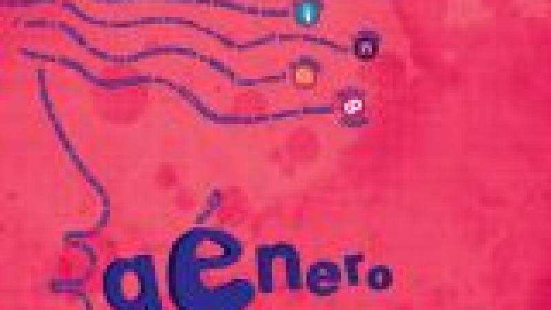 Marzo. Mes Temático de i.CUCID: Perspectivas de Género, de lo global a lo local