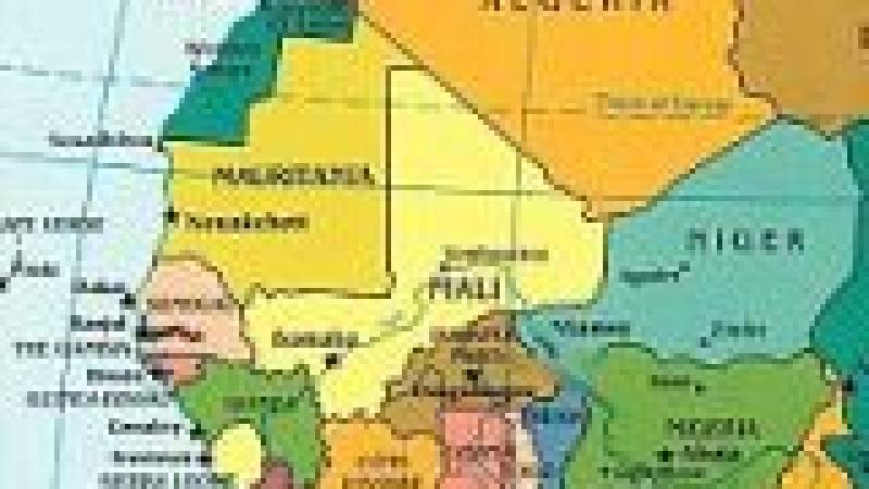 Reunión del Consejo Asesor para la Promoción del Comercio con África Occidental (CAPCAO)