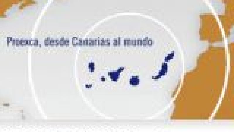 CANARIAS APORTA III