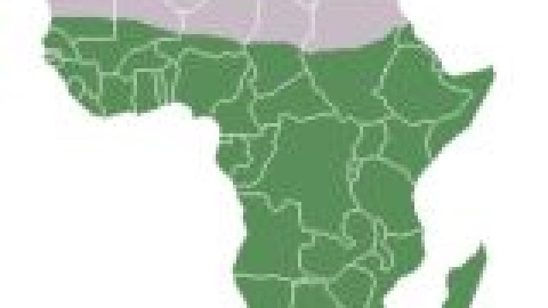 II Curso África Subsahariana: Cultura, Política y Cooperación