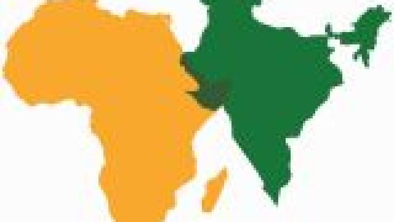 Seminario "India en África: una presencia revitalizada en el siglo XXI"