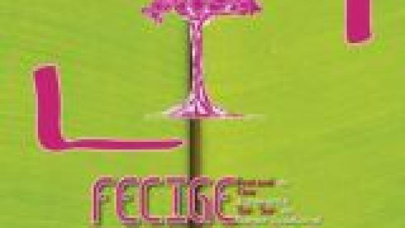 FECIGE: II Edición del Festival de Cine Itinerante Sur-Sur