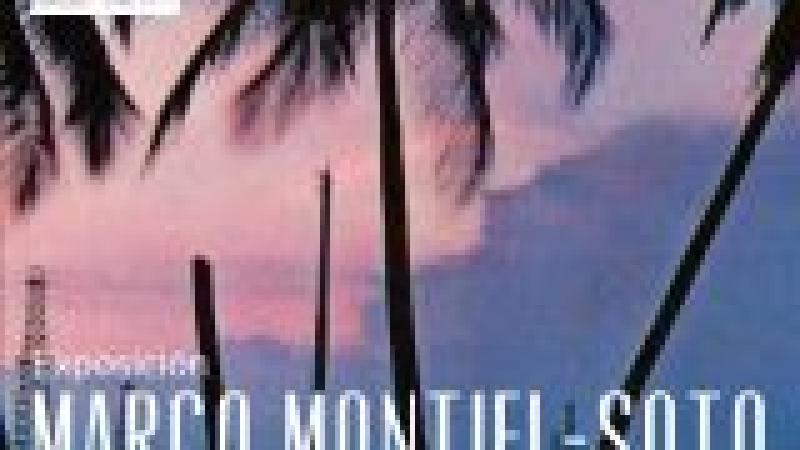 Exposición: Mal de mar hacia un triste trópico. Notas sobre la otra isla