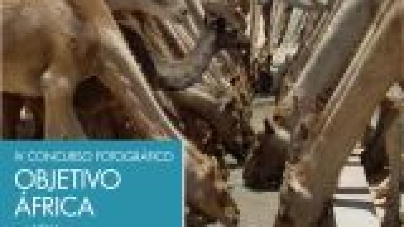 IV Concurso Fotográfico 'Objetivo África'
