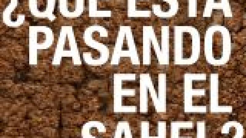 Mesa redonda: ¿Qué está pasando en el Sahel?. Un análisis integral de la situación y de las perspectivas de futuro en la región