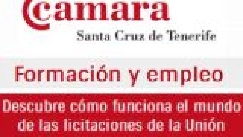 Descubre cómo funciona el mundo de las licitaciones de la Unión Europea en África