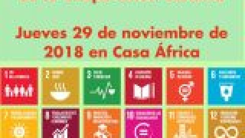 Taller participativo: construyendo el Plan Director de Cooperación Canaria