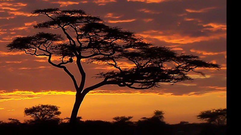 Cuentos africanos con Ana Griott
