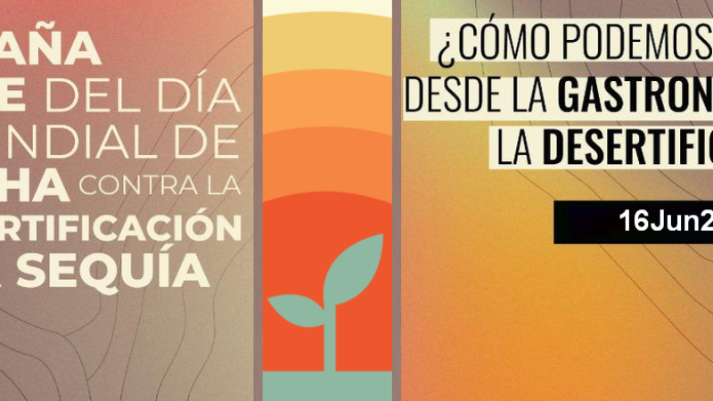 Día Mundial de la lucha contra la Desertificación y la sequía