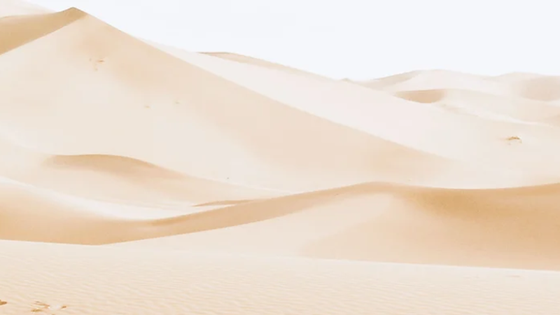 IV Foro de Diálogo Sahel-Europa