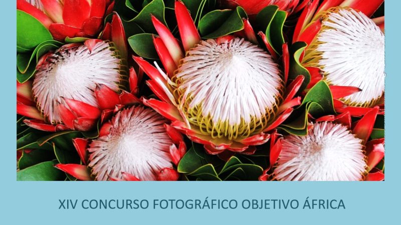 XIV Concurso Fotográfico 'Objetivo África': Biodiversidad en África