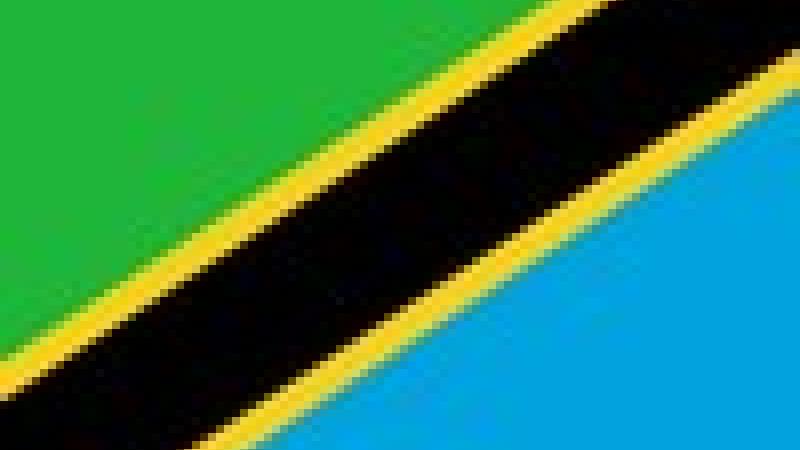 Fiesta de la Unión en Tanzania