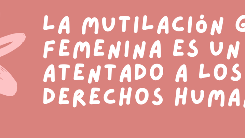 Jornada por la TOLERANCIA CERO frente a la MGF