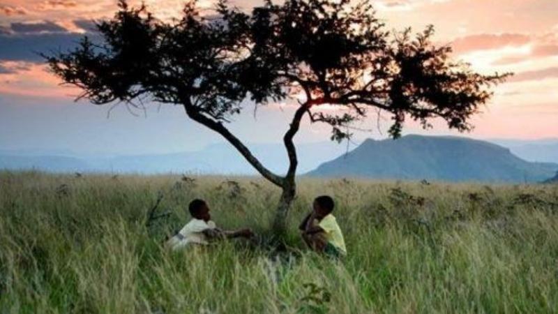 Burgos acoge un ciclo de cine africano con estrenos todos los jueves del mes de enero