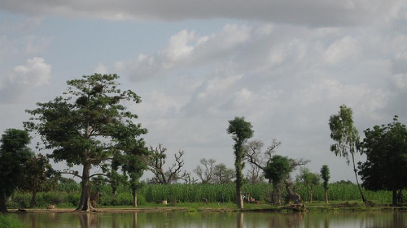 Un estudio sobre la influencia del petróleo en el desarrollo democrático de Nigeria gana el Premio de Ensayo Casa África 2009