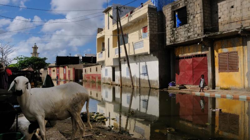 Elise Fitte Duval, premio Casa África 2011 de la Bienal de Fotografía de Bamako