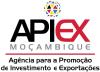 Agencia de Promoción de Inversiones y Exportaciones